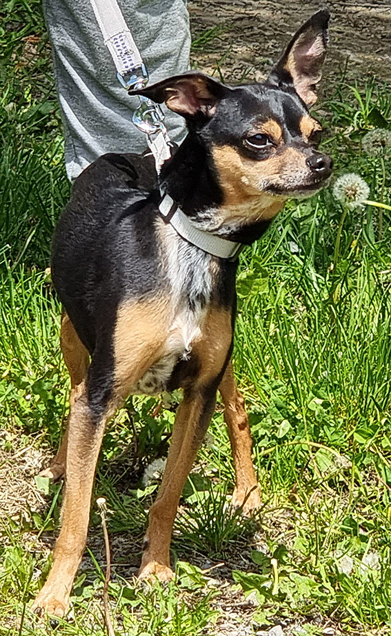 Rocky