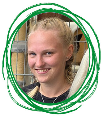 K. Enderlein